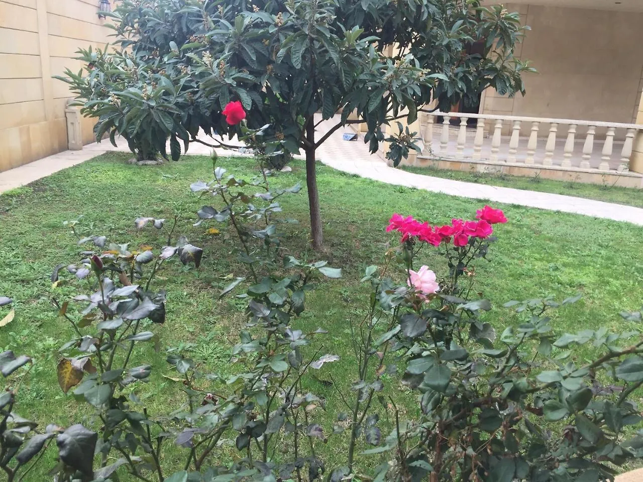 Baku Star Hotel